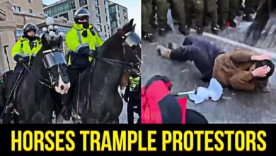 Photo of The Evil Dictator Of The North Sends His Goon-Squad Out To Trample Peaceful Protestors With Horses